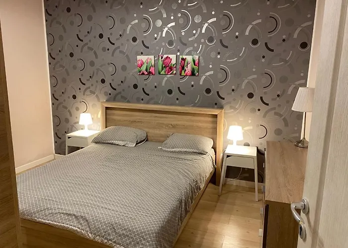 Daire Igi Red Flat With Free Private Parking Kaloşvar